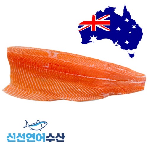 호주 생연어 대형 필렛 2.2kg[5팩 이하 구입](1kg단가 34,900원)