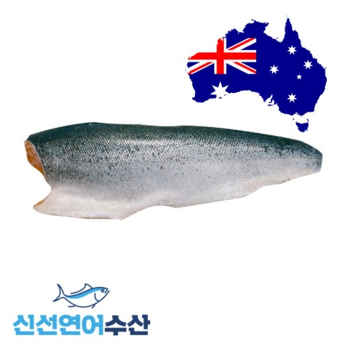 호주산 생연어 껍질필렛 2.3kg [6팩 이상 구입](1kg단가 33,800원)